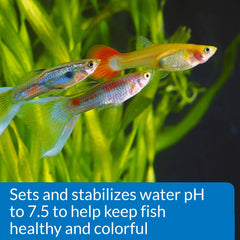 Ajuste de pH a 7.5 con API PROPER pH 7.5 para peces coloridos.