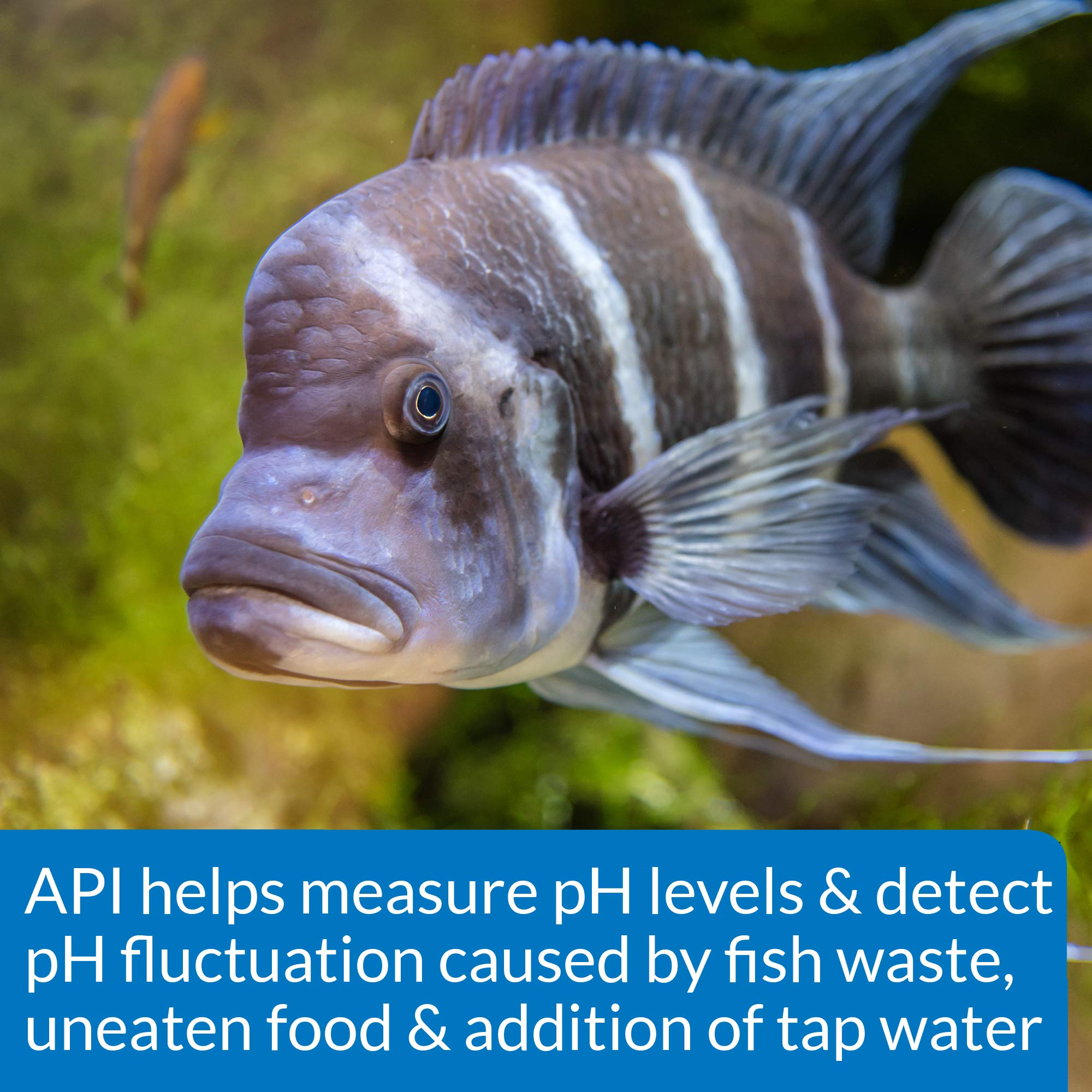 Esenciales API para pruebas de pH y mantenimiento del acuario.