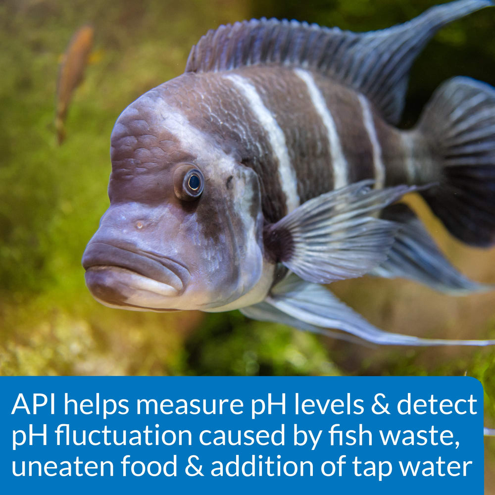 Esenciales API para pruebas de pH y mantenimiento del acuario.