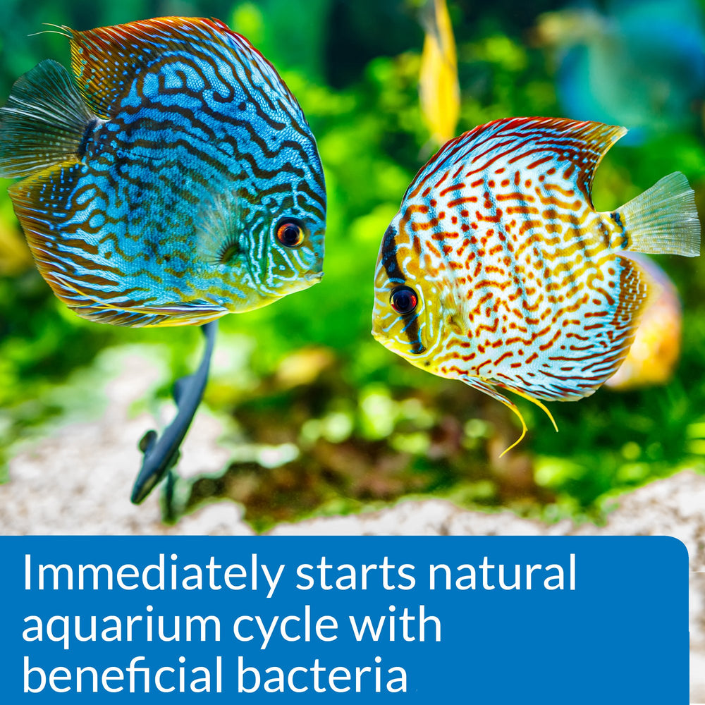 Uso recomendado API Quick Start al añadir peces nuevos