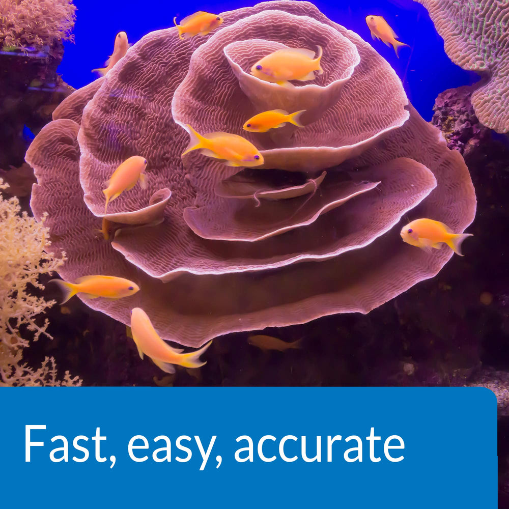 API Saltwater Master Test Kit muestra de agua para análisis rápido.