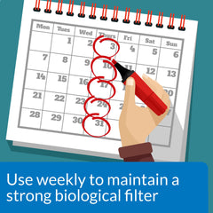 API STRESS ZYME en tanque de acuario, promueve claridad natural y menos residuos.