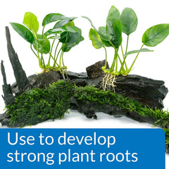 API tabletas de raíces para crecimiento vigoroso de plantas acuáticas.