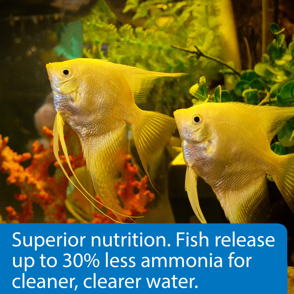 API Tropical Flakes: carotenoides para colores brillantes en peces tropicales