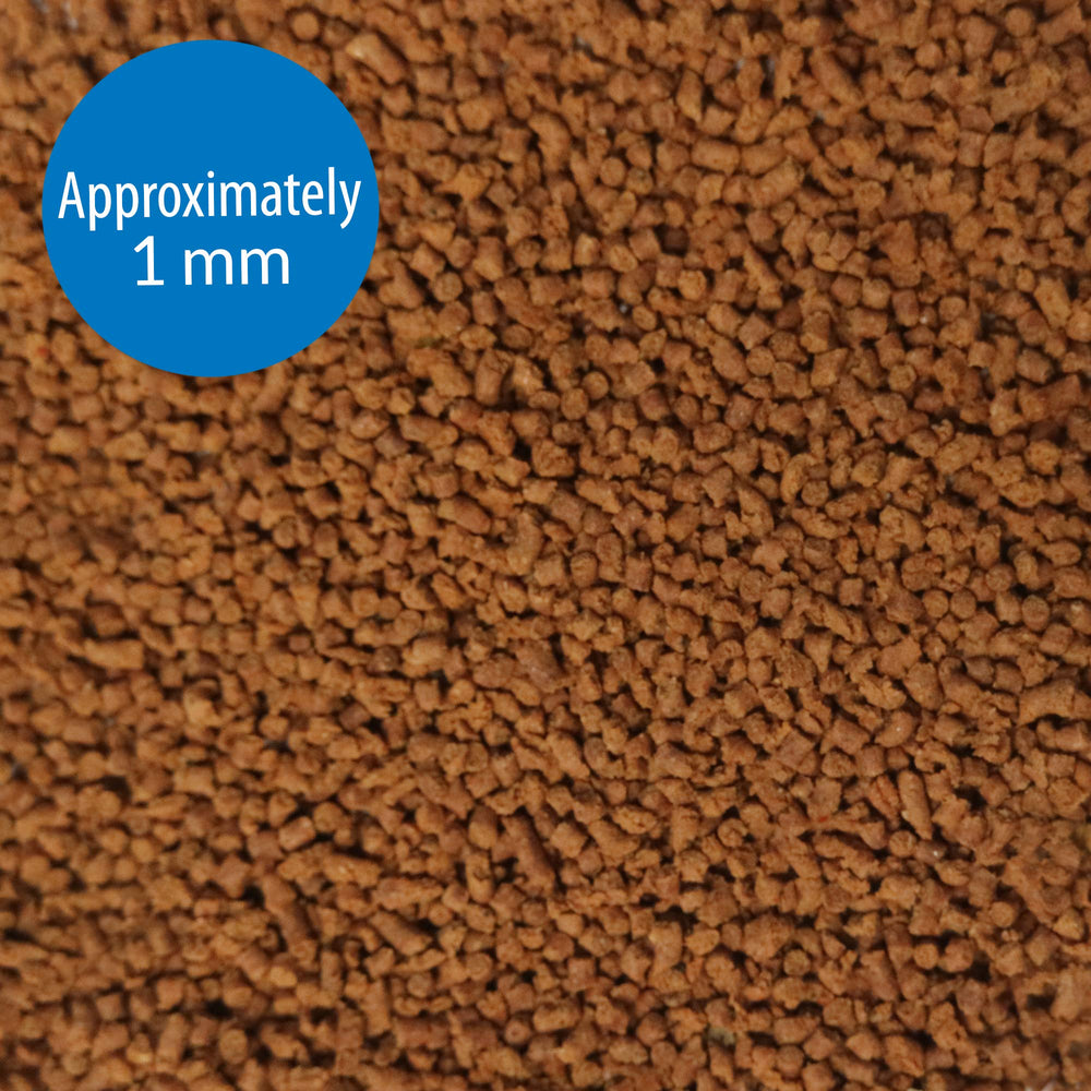 Proteínas de alta calidad en API Tropical Mini Pellets para crecimiento saludable.
