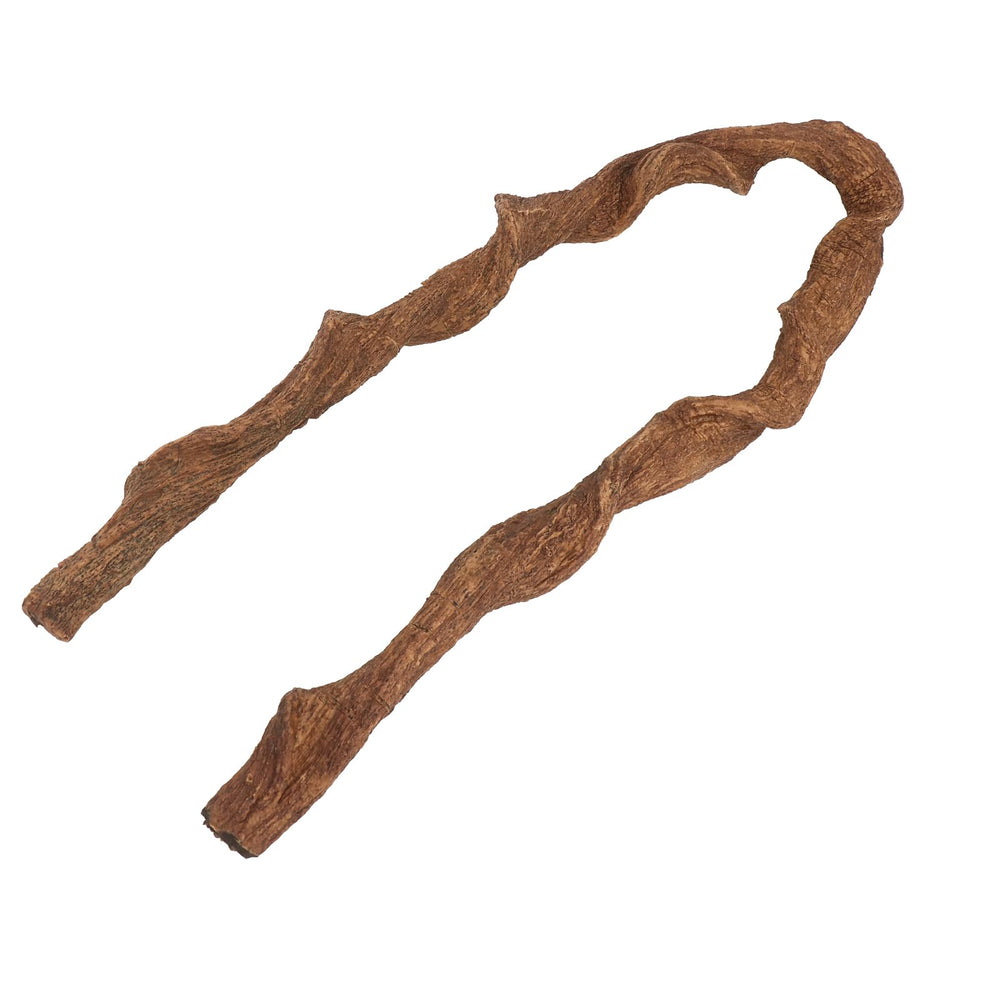 AQUA KT opción ideal para gecko crestado y lagartijas