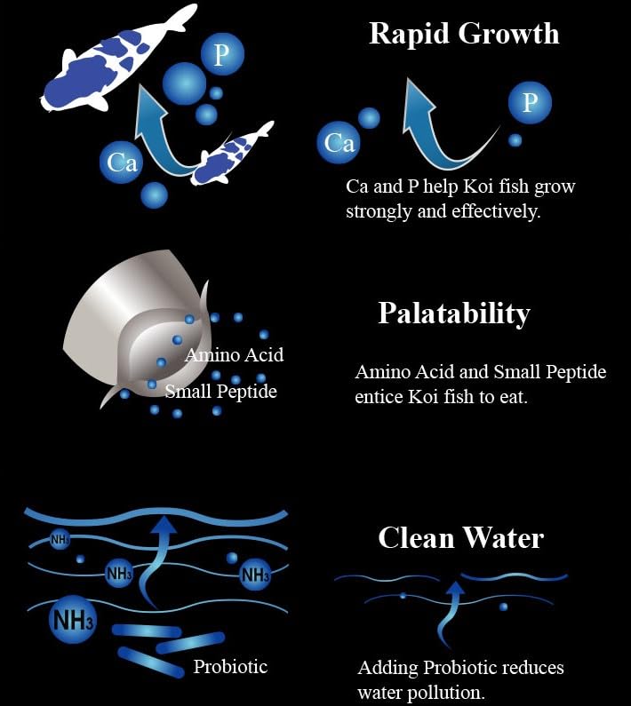 Detalle del gránulo Aqua Master para crecimiento de koi y digestión.