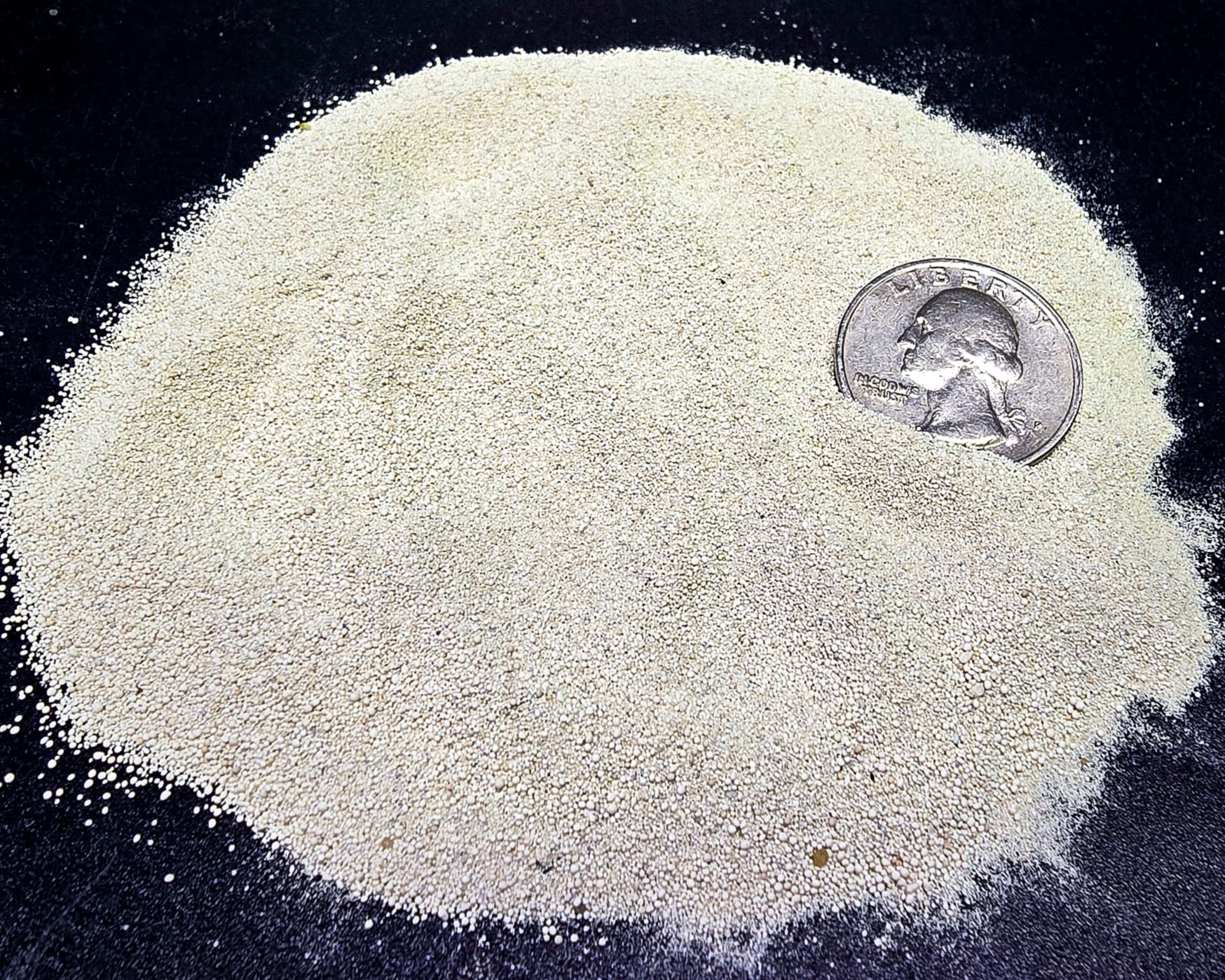 Aqua Natural aragonita oolítica: ideal para tanques de arrecife
