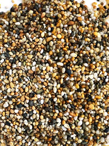 Aqua Natural Gold Pearl para acuario, mezcla de tonos dorados realza el ambiente tropical.