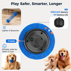 Aquamorph bola apta para uso interior y exterior con perros.