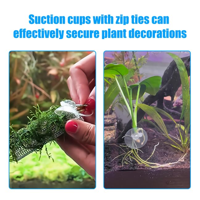AQUANEAT nido de camarones asegurado con bridas en acuario