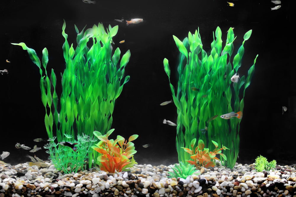 Aquaneat plantas artificiales para acuario 11,75 pulgadas, conjunto de 10 piezas para variedad.