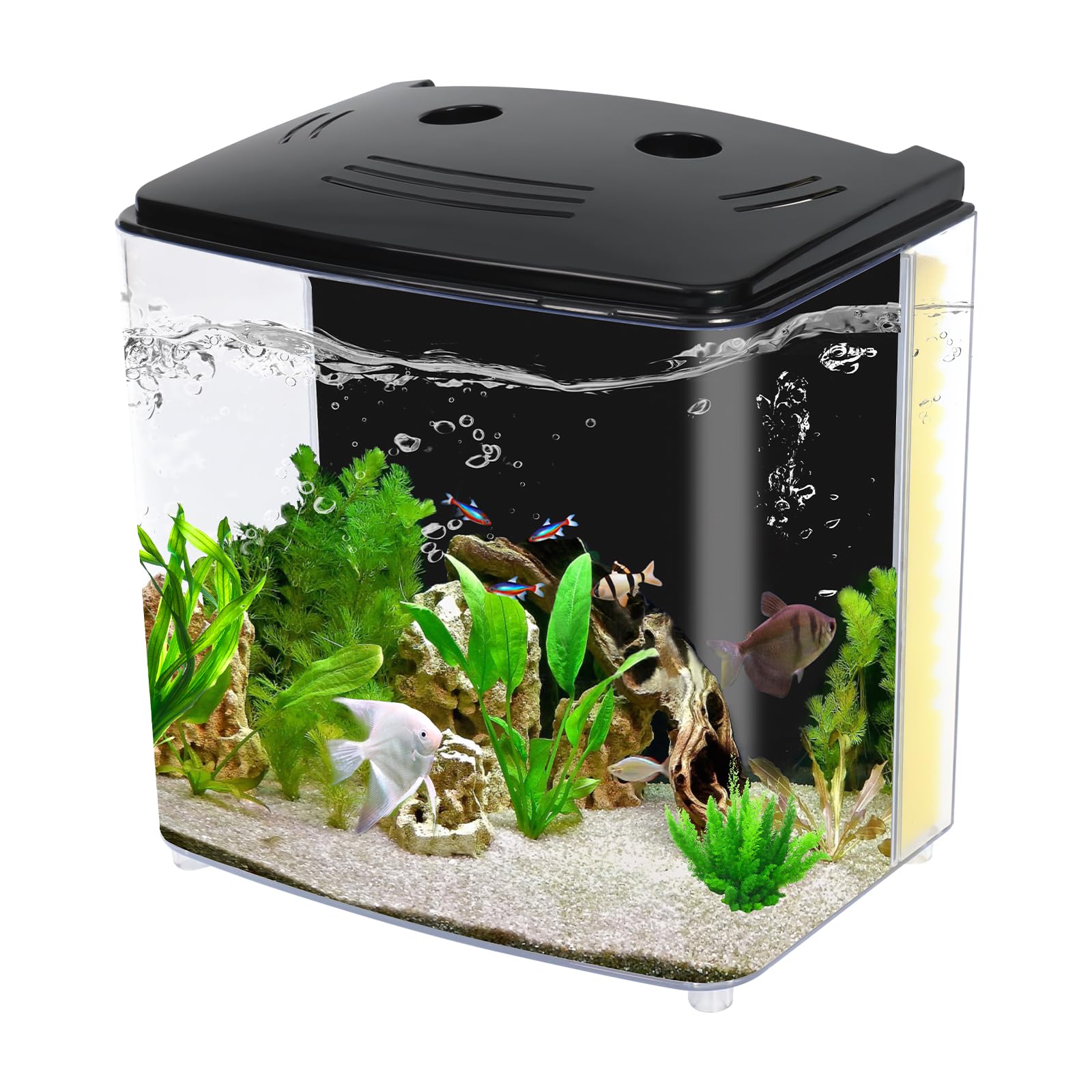 AQUANEAT tanque 1.2 galones con luz LED realza colores del Betta