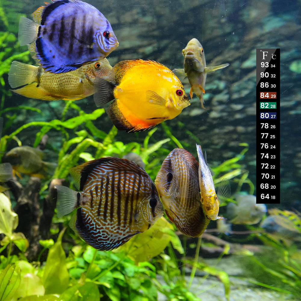 AQUANEAT termómetro tira para frascos de alimentos lectura rápida