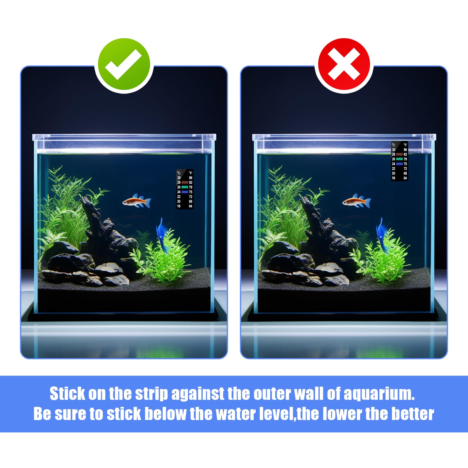 Tira termómetro AQUANEAT para acuario con lectura clara y colores.