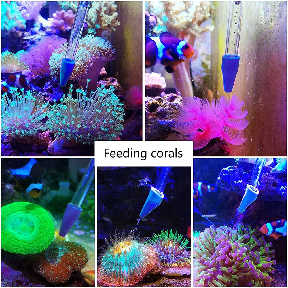 Pinzas rectas Aquarium Choice para frag de coral, retirada de alimento.
