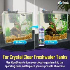 Antes y después de KloudAway, agua turbía en acuario mejora visibilidad