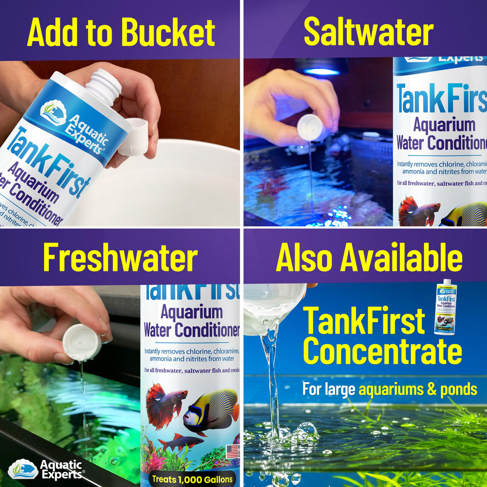TankFirst de Aquatic Experts, fórmula sin olor para acuario