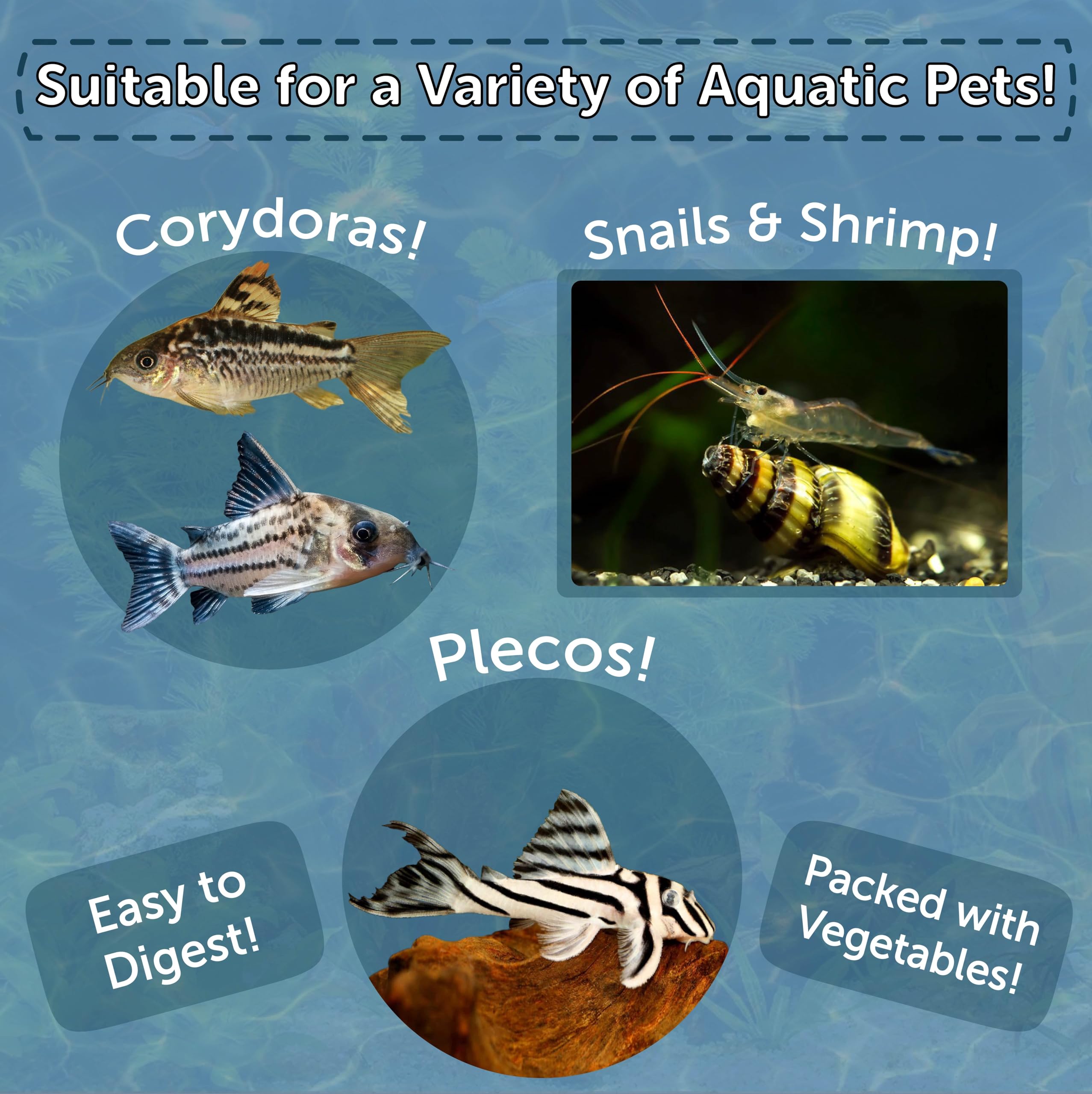 Envase de 9,85 onzas de Aquatic Foods para acuario práctico.