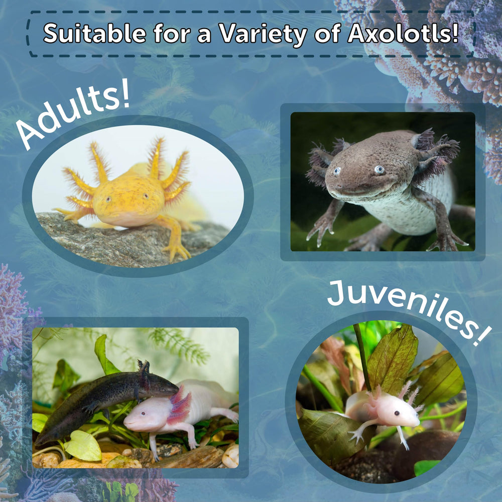 Alimento versátil para camarones y caracoles con sabor atractivo y fácil ingestión.