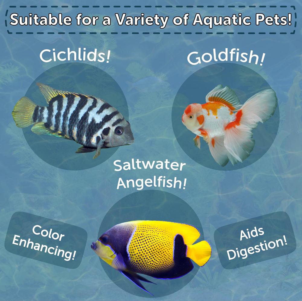 Aquatic Foods Inc cubos de artemia flotantes para tetras y goldfish, consumo sencillo.