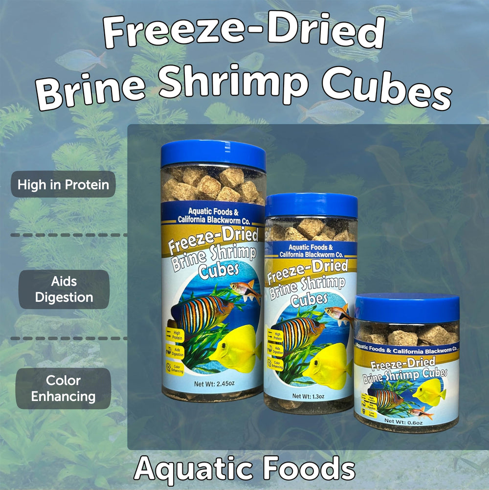 Aquatic Foods Inc cubos de artemia flotantes para tortugas acuáticas, uso práctico.