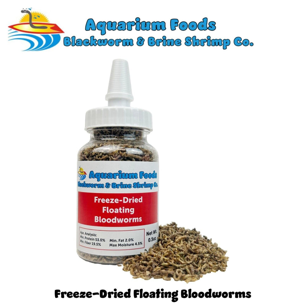 Gusanos de sangre liofilizados flotantes en envase, ideales para peces tropicales.