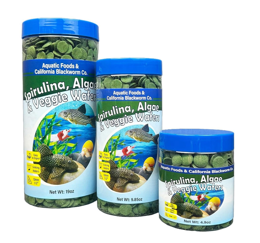 Láminas de spirulina de Aquatic Foods para peces, fuente de nutrición.