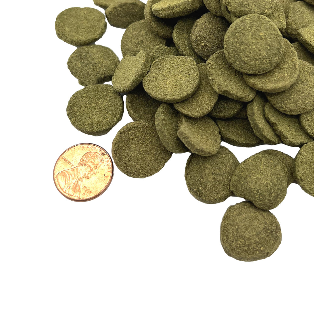 Discos de algas Aquatic Provisions de 18 mm, tamaño adecuado para peces herbívoros.