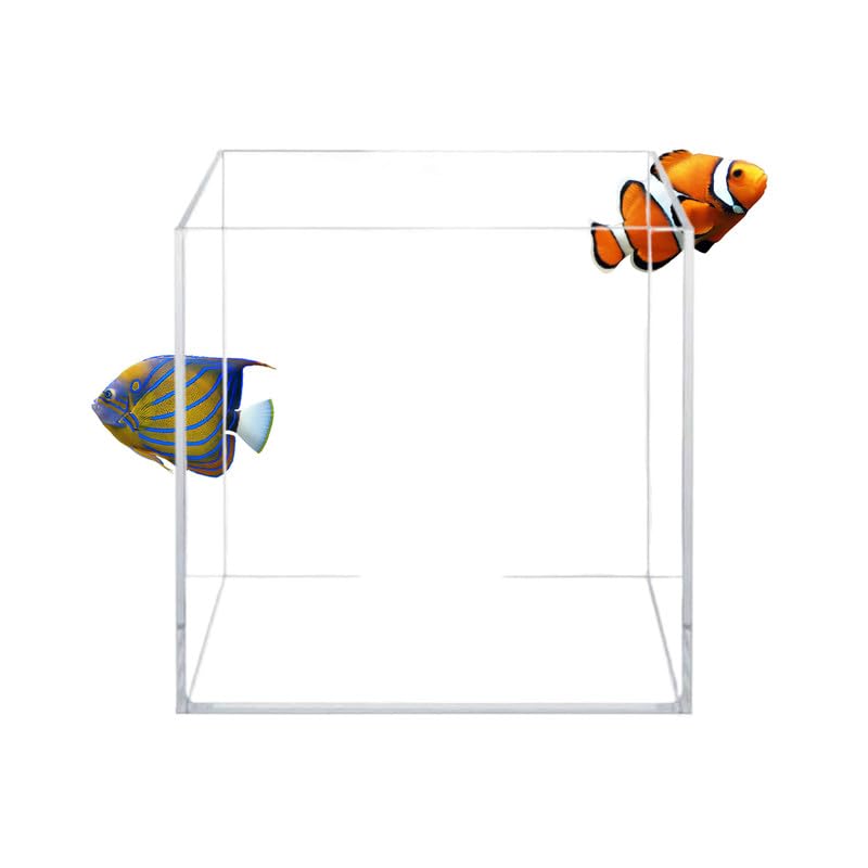 Acuatop cubo de cristal alta claridad, vista clara de peces y plantas