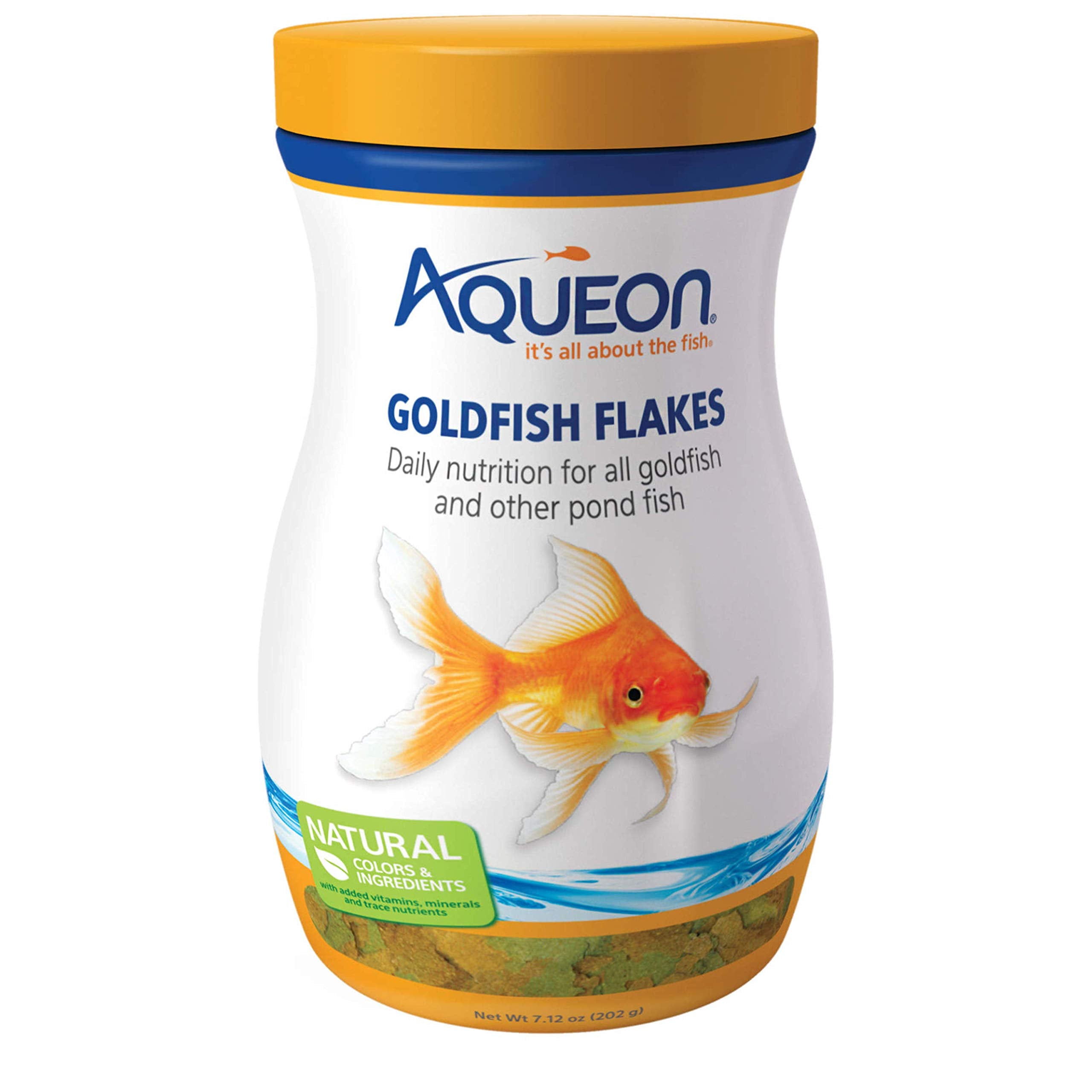 Aqueon pez dorado con copos flotantes, alimento diario para observación de la ingesta