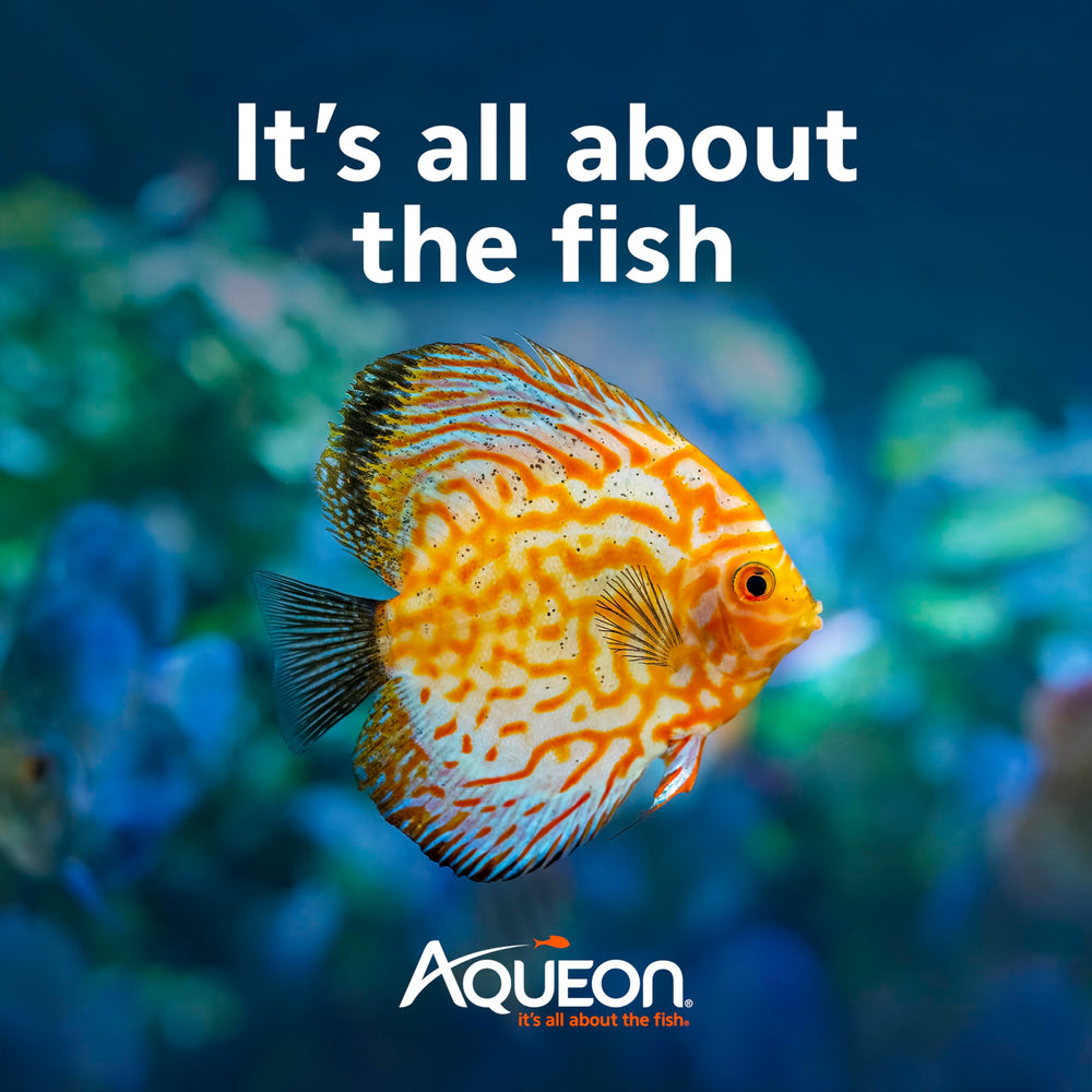Aqueon AquaPacs ayuda a mantener un hábitat saludable para el pez.