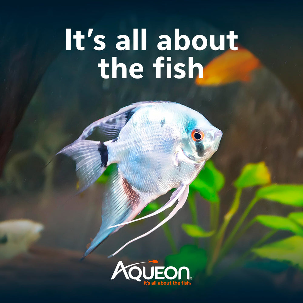 Aqueon Cichlid Granulos para uso diario, sin ensuciar el agua