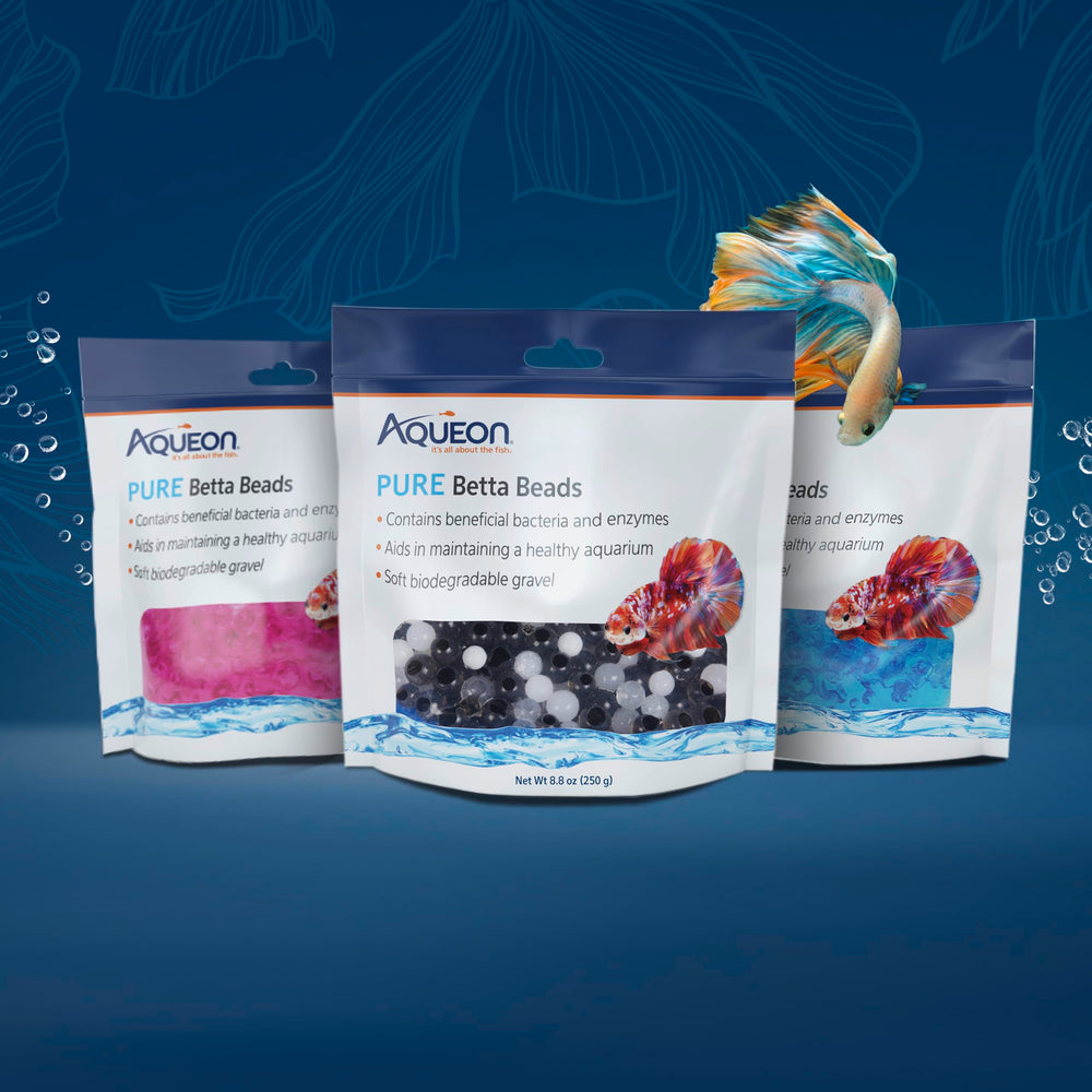 Aqueon PURE Betta Beads con bacterias y enzimas para balance del acuario.