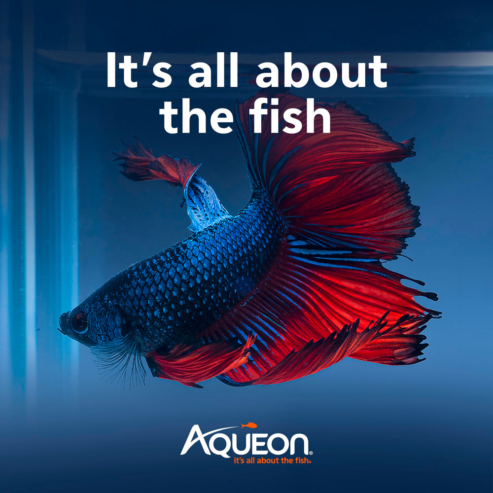 Aqueon PURE Betta Beads: cambio mensual y mantenimiento fácil.
