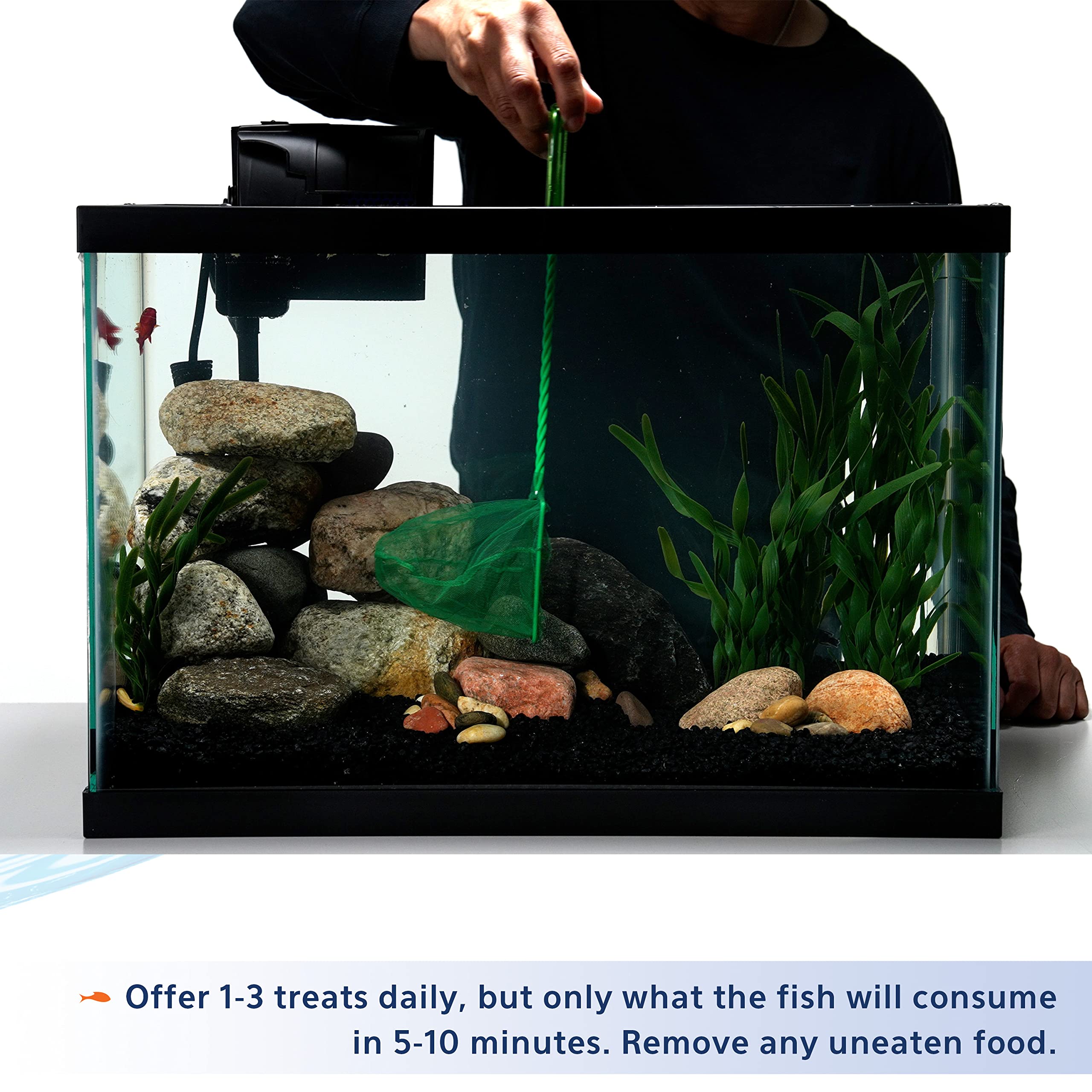 Aqueon Stick’ems aporta proteína alta para la salud de los peces