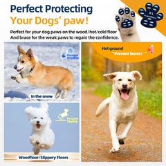 Aqumax parches-patas-perro silicona: adherentes y duraderos para caminar con confianza.