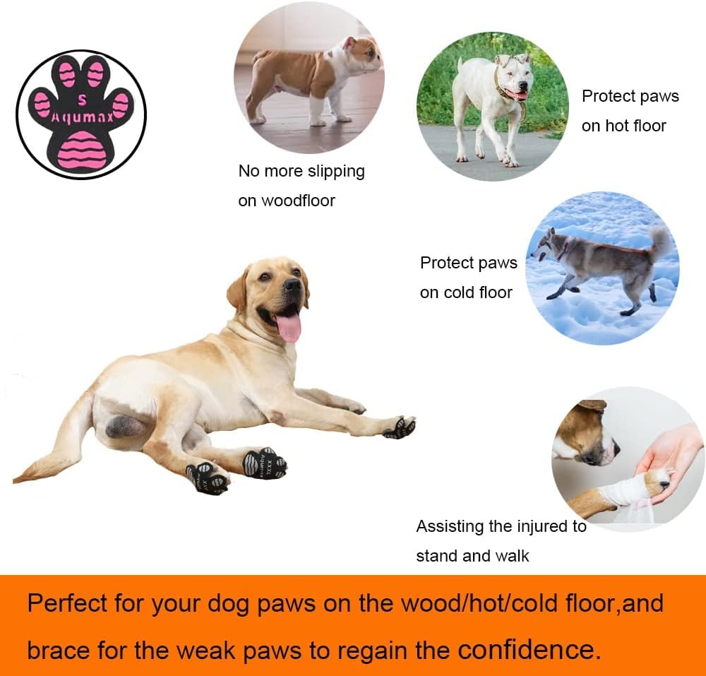 Talla XL de Aqumax para patas grandes de perros.