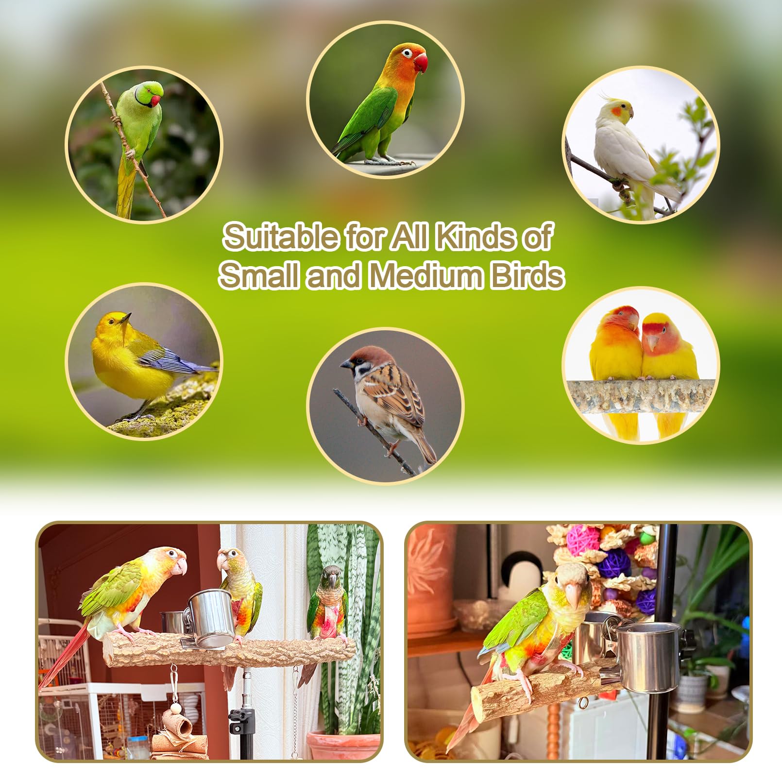 Apto para aves pequeñas y medianas con la percha Arfubye.