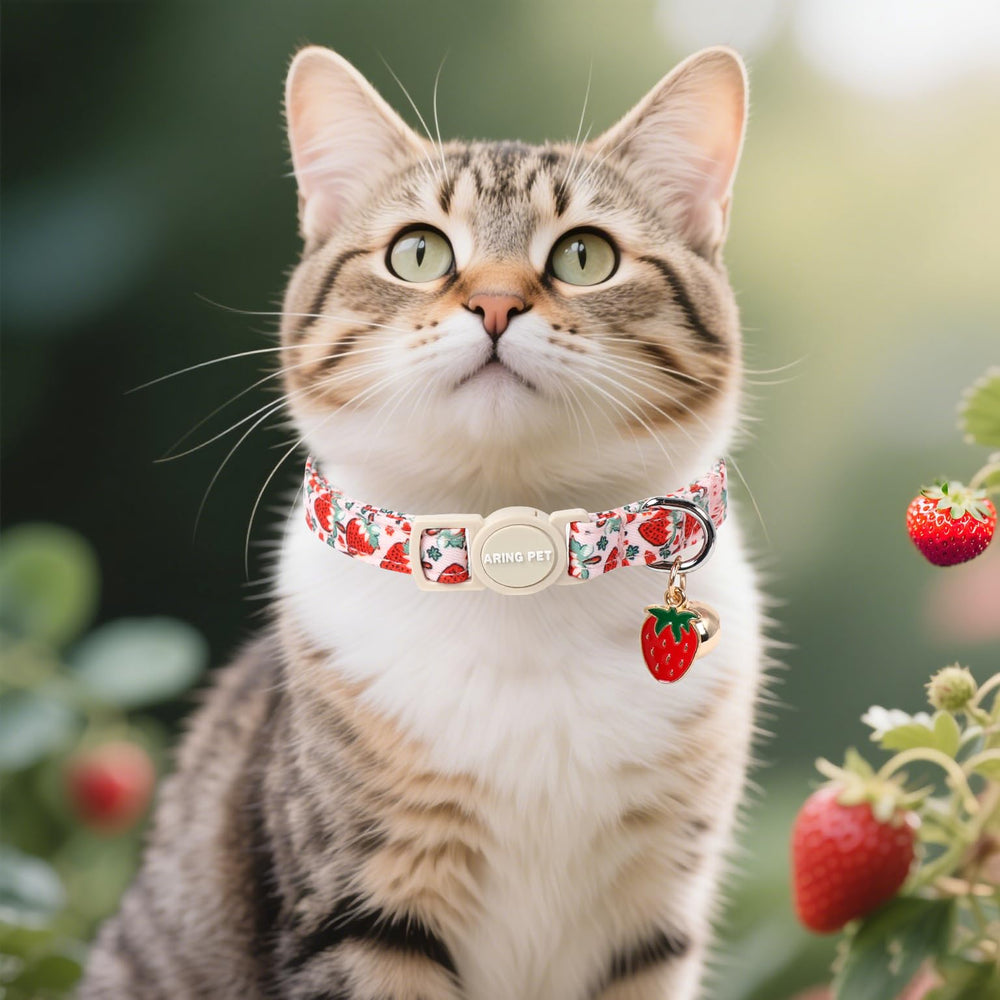 Aring Pet collar gato campana y diseño; localiza y añade estilo.