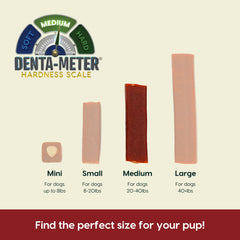 Ark Naturals Protection+ masticables dentales para perros, sabor natural y aliento fresco