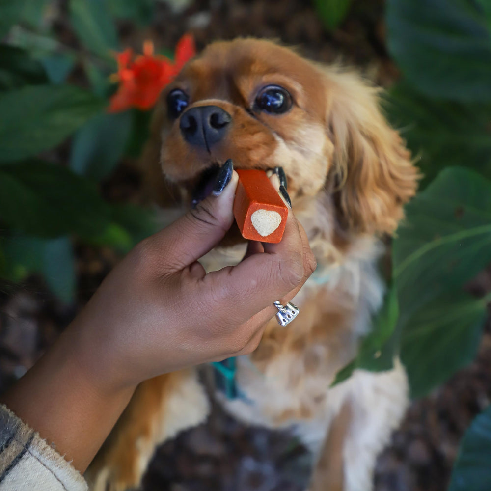 Uso diario recomendado para perros pequeños con dos mordedores diarios.