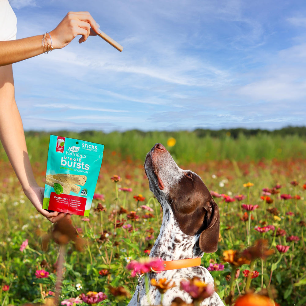 ARK NATURALS seguro para masticar diario en perros grandes