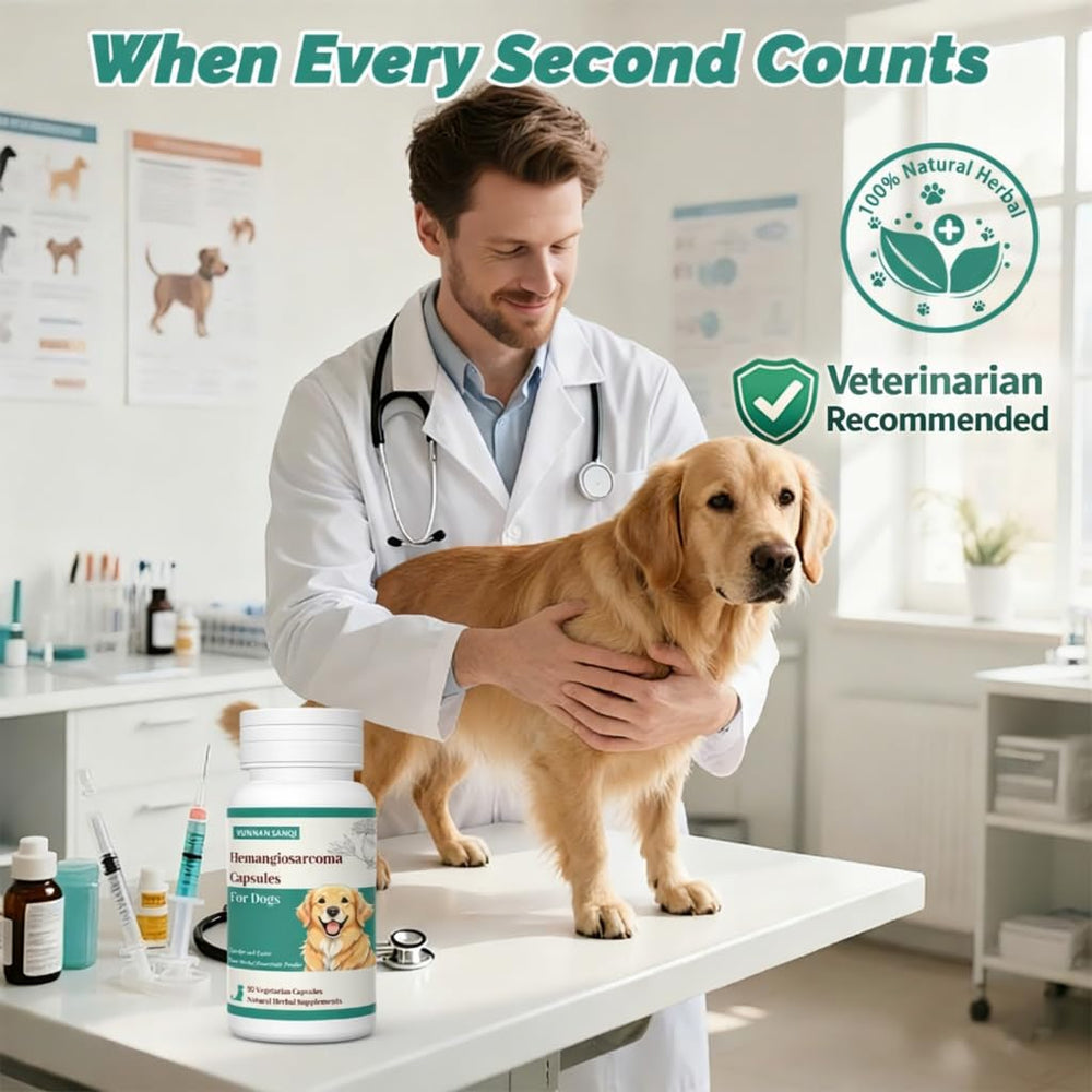 Dosis diaria de Arlistatmax Yunnan Sanqi, uso recomendado para perros activos.