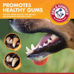Arm & Hammer aliento fresco para perros, ritual de cuidado dental diario.