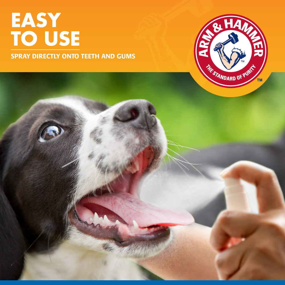 Arm & Hammer aliento fresco para perros tras la aplicación.
