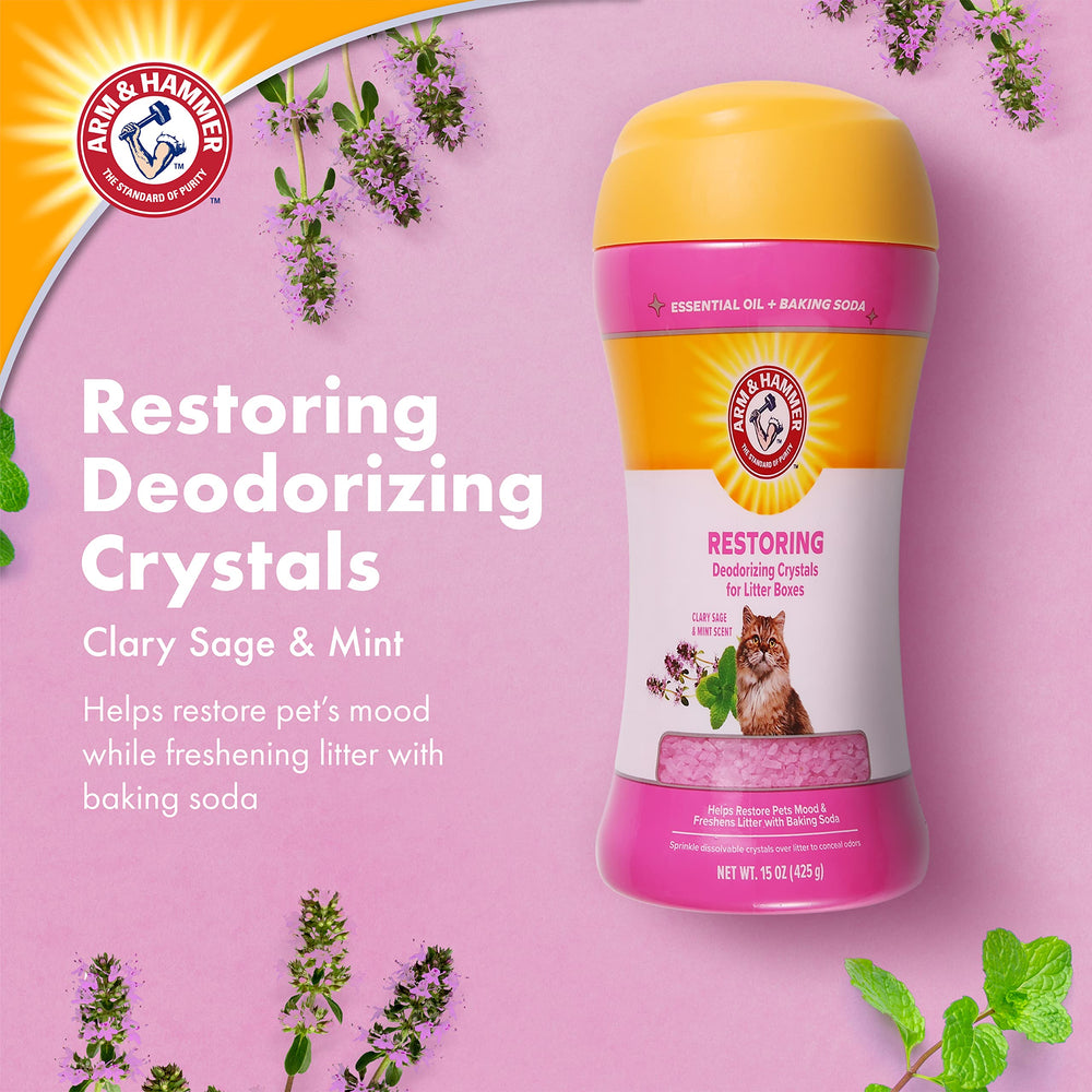 Aroma de clary sage y menta deja la zona de la arena más fresca.