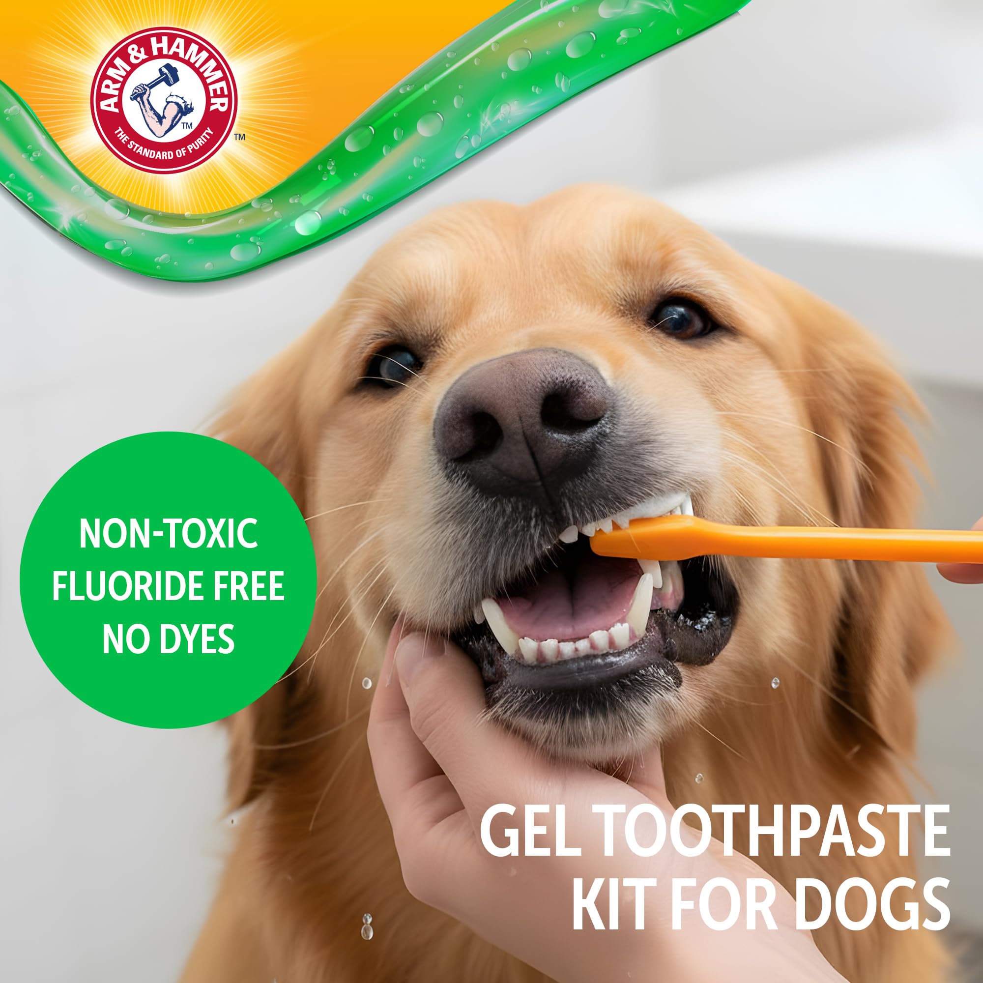 Cepillo dental grande de Arm & Hammer para perros, facilidad de uso.