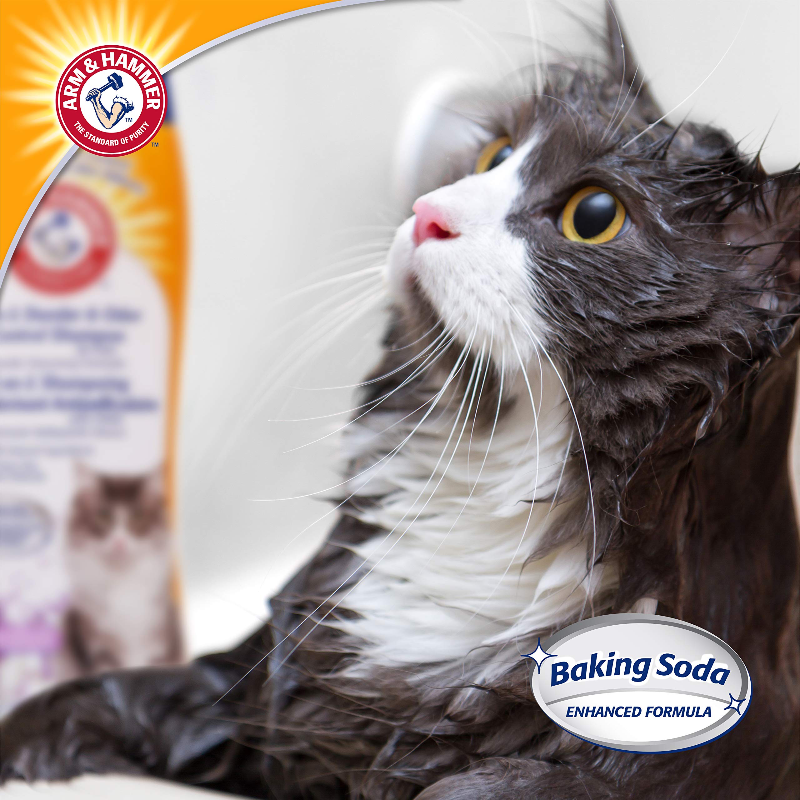 Arm & Hammer champú para gatos aroma lavanda y manzanilla suave