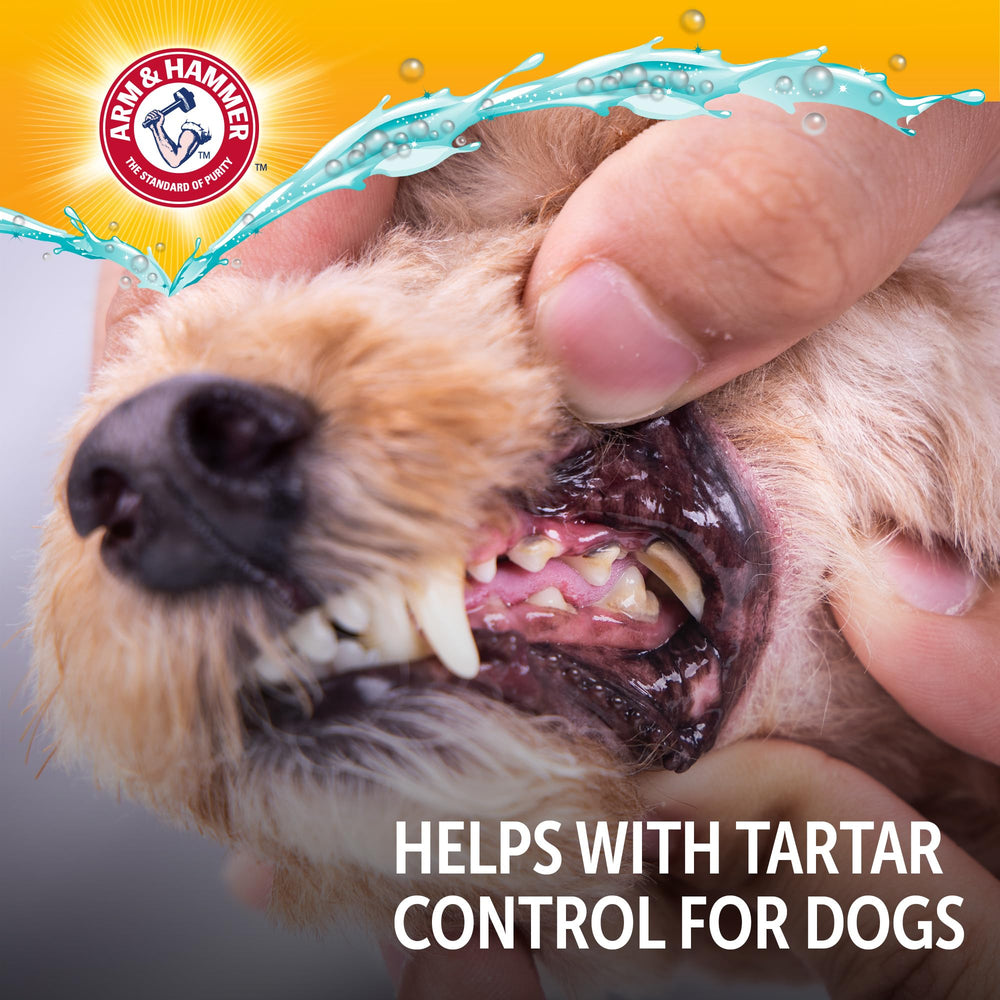 Arm & Hammer Complete Care uso diario sin cepillado para perro.